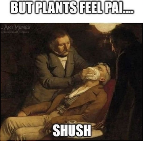 but plants feel pain